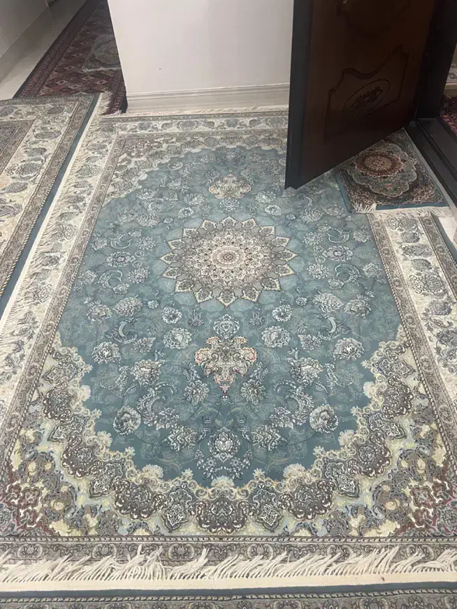 فرش در حد نویه نوی نو|فرش|مشهد, شیرودی|دیوار