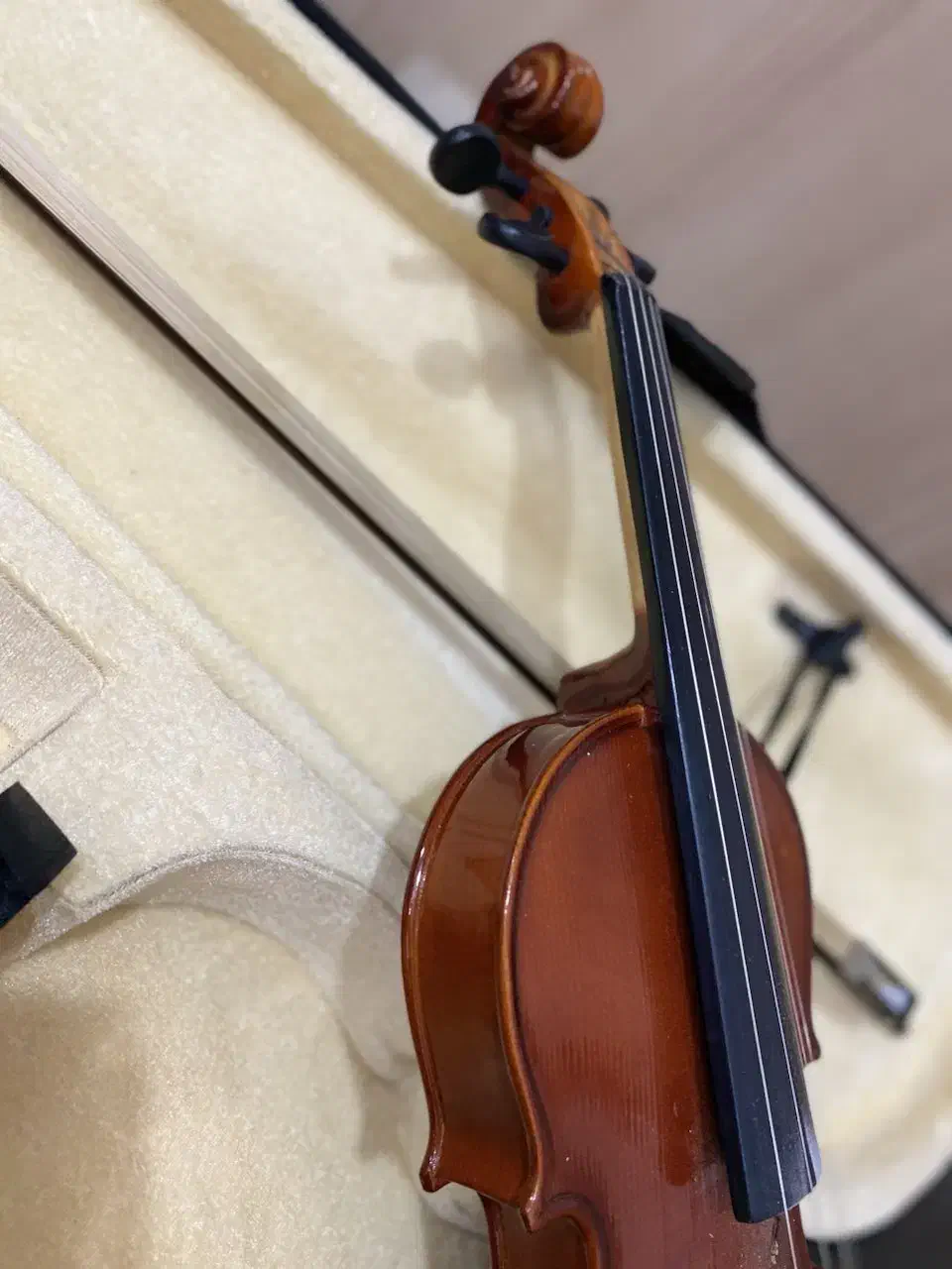 ویولن|ویولن|میاندوآب, |دیوار