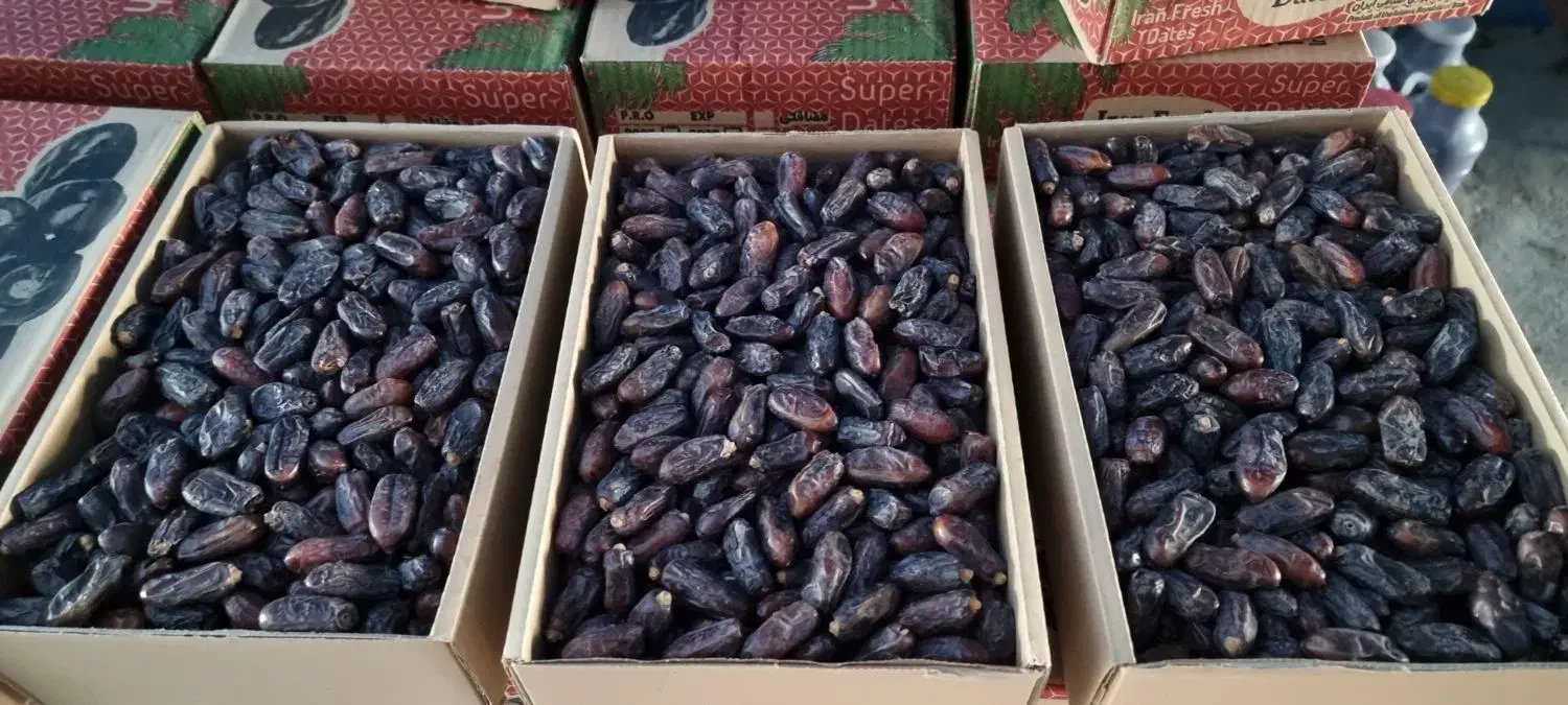 خرمای ربی|خوردنی و آشامیدنی|سراوان, |دیوار