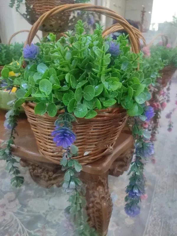 گل شمشاد سبذی|گل مصنوعی|تهران, تهرانسر شرقی|دیوار