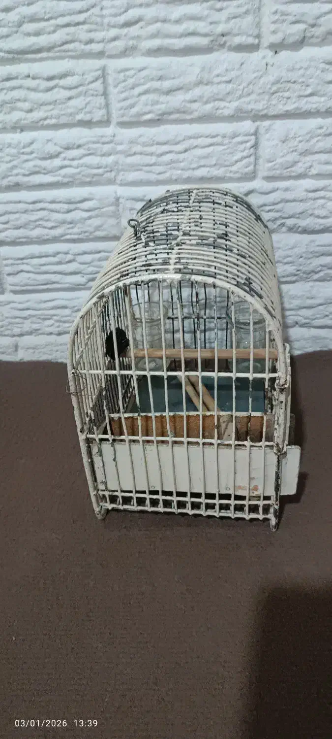 قفس سهره|لوازم جانبی حیوانات|رباط‌کریم, شهرک والفجر|دیوار