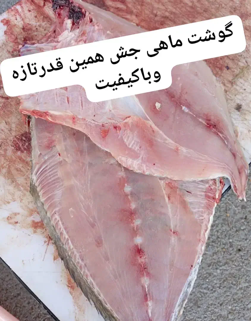 ماهی فروشی صیاد|خوردنی و آشامیدنی|فولادشهر, فولادشهر|دیوار