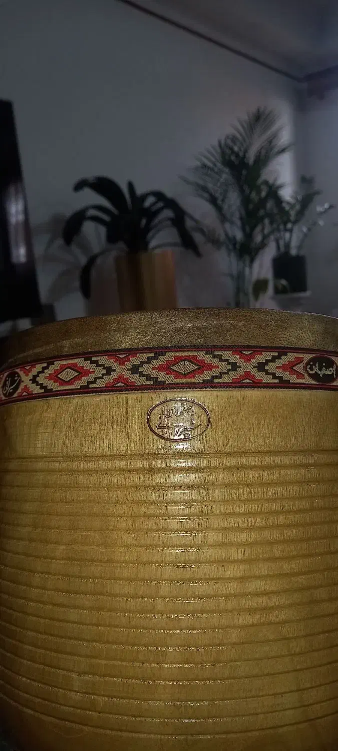 تنبک شیرانی اصلی اصفهان تک مهر ۲۳+کاور+کتاب|سازهای سنتی|رشت, کاکتوس|دیوار