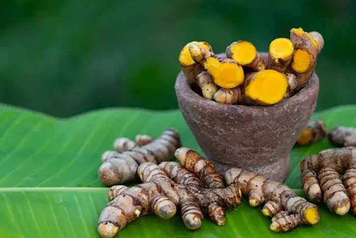 فروش ویژه روغن خالص زردچوبه تولید داخل|آرایشی، بهداشتی، درمانی|تهران, شهرک علم و فناوری|دیوار