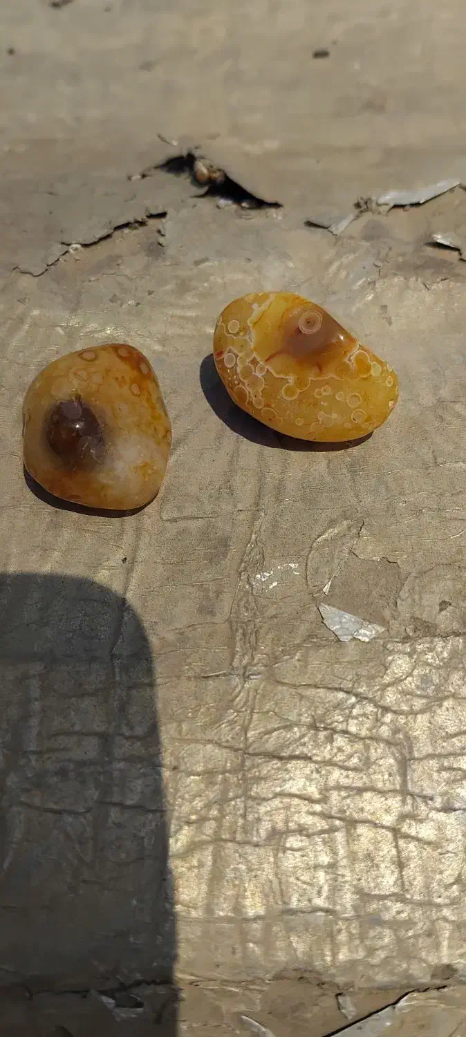 گم شده|اشیا|کارون, |دیوار