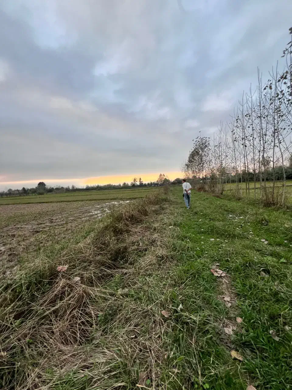 زمین کشاورزی 1500متر|فروش دفتر صنعتی، کشاورزی، تجاری|لشت نشا, |دیوار