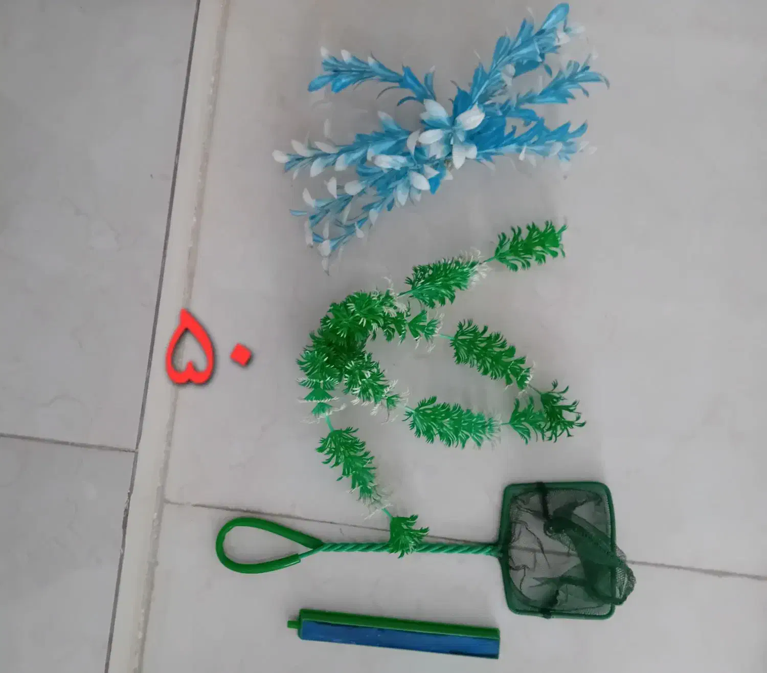 آکواریوم کوچک و بزرگ در بیدستان|ماهی|محمدیه-قزوین, |دیوار