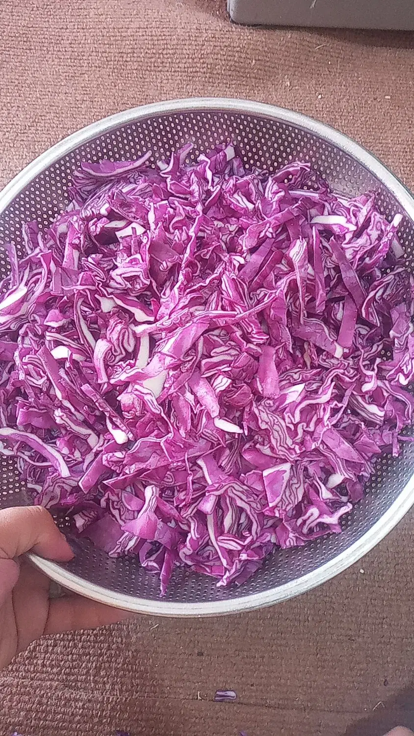 ترشی|خوردنی و آشامیدنی|بستان آباد, |دیوار