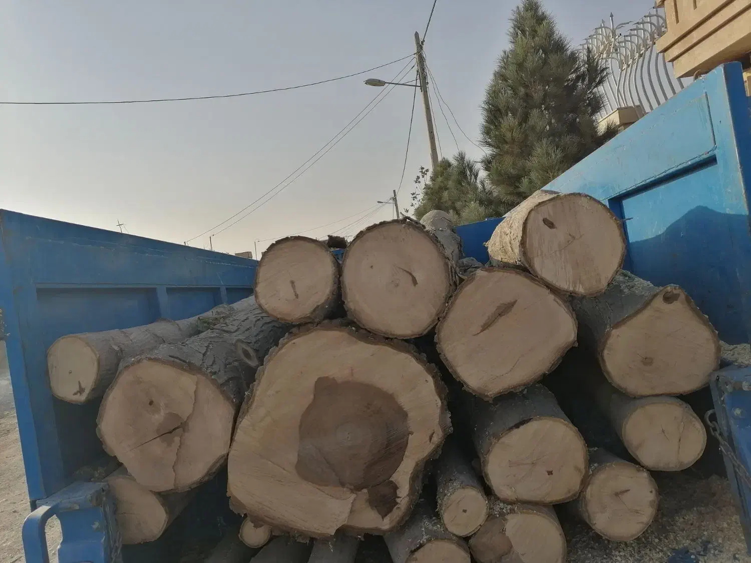 خرید چوب|خدمات باغبانی و درختکاری|گلبهار, شهر جدید گلبهار|دیوار