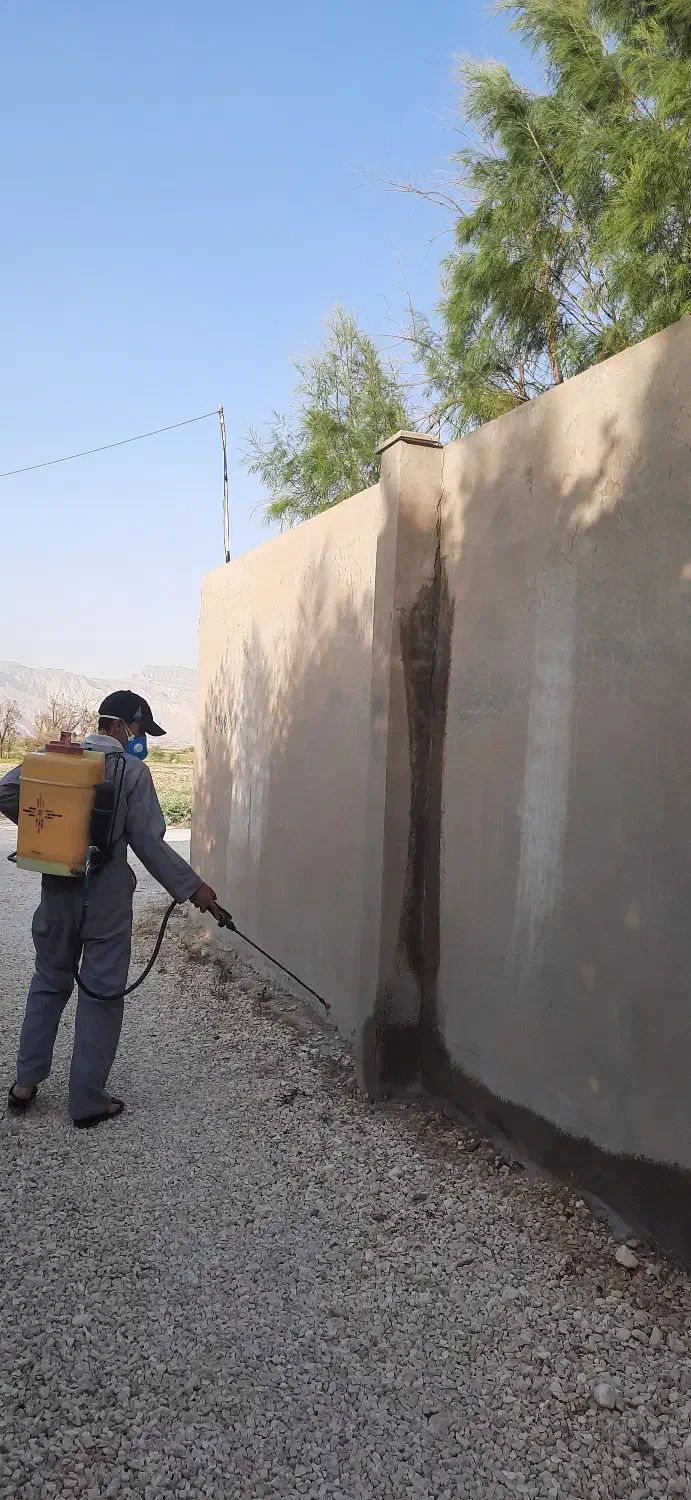 سم پاشی منازل و شرکت ها و ادارات|خدمات نظافت|بندر کنگان, |دیوار