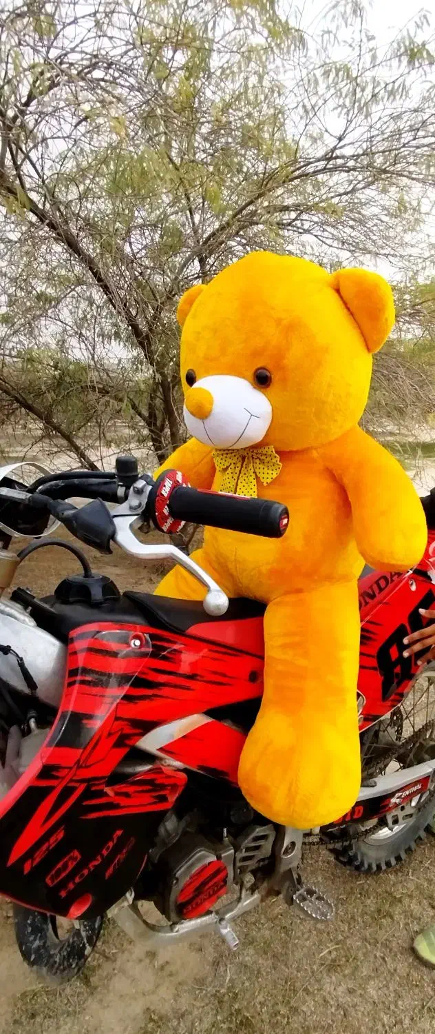 خرسی تدی|اسباببازی بچه|امیدیه, |دیوار