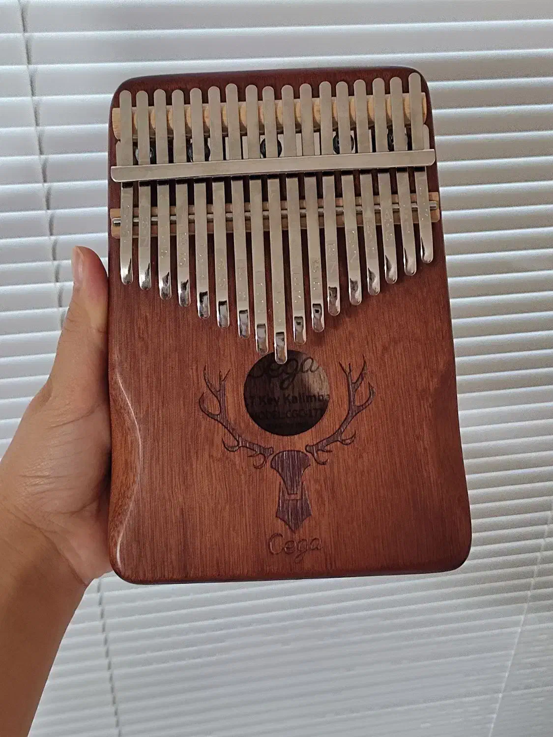 کالیمبا برندCega|پیانو، کیبورد، آکاردئون|گناباد, |دیوار