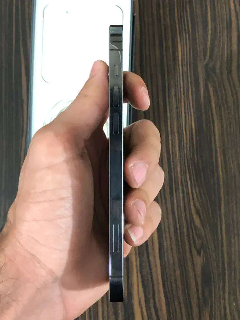 ایفون 12 poro|موبایل|چالوس, |دیوار