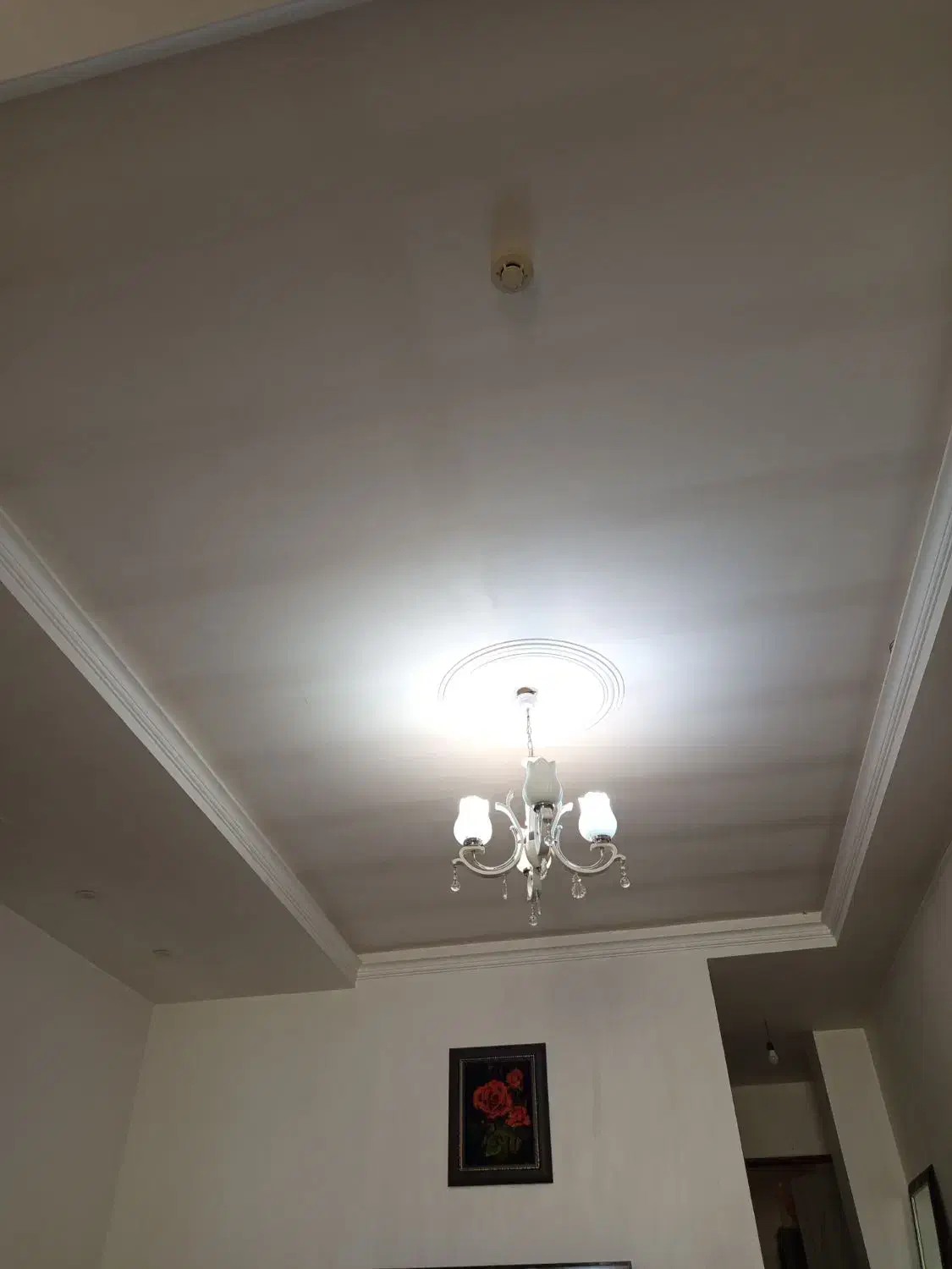 لوستر|لوستر و چراغ آویز|گرمدره, |دیوار