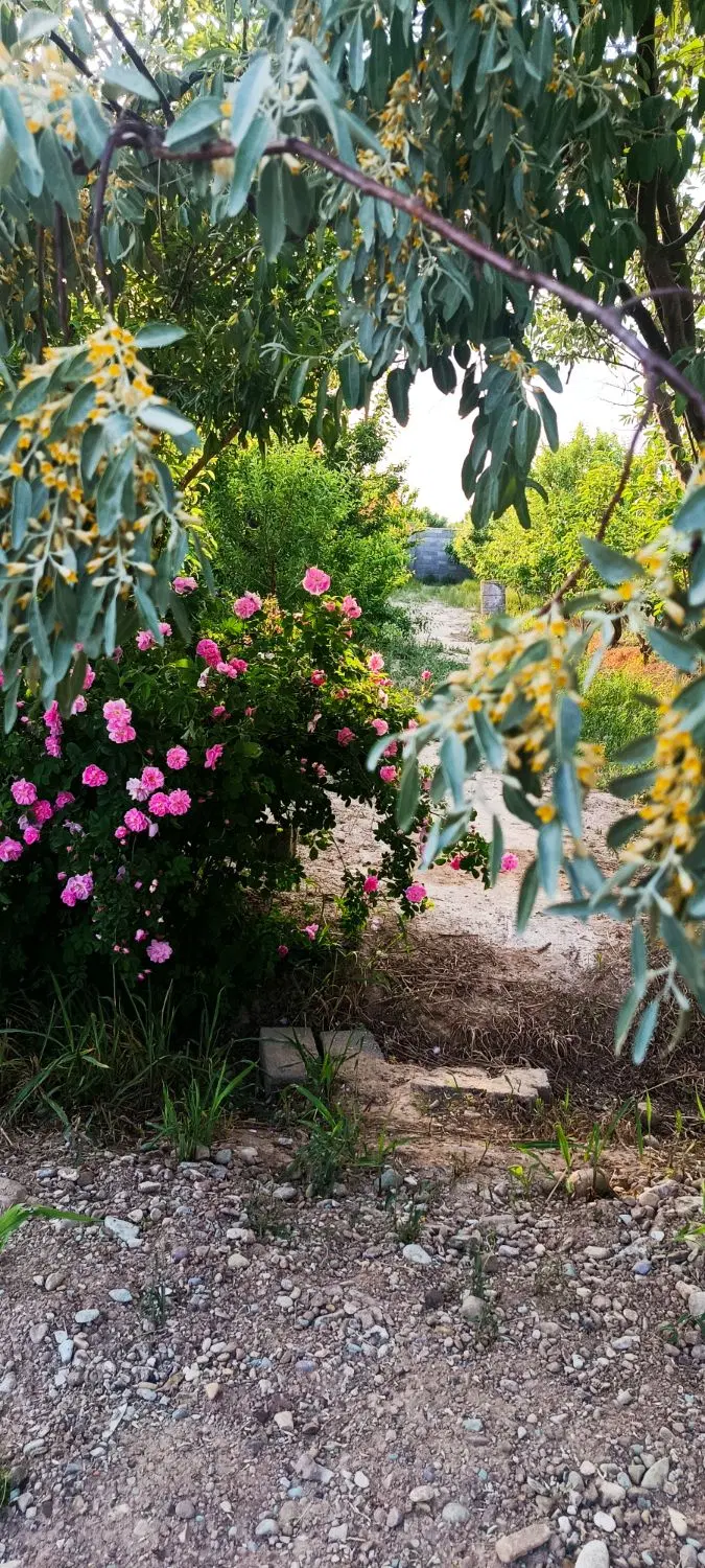 باغچه|فروش خانه و ویلا|آفتاب, |دیوار