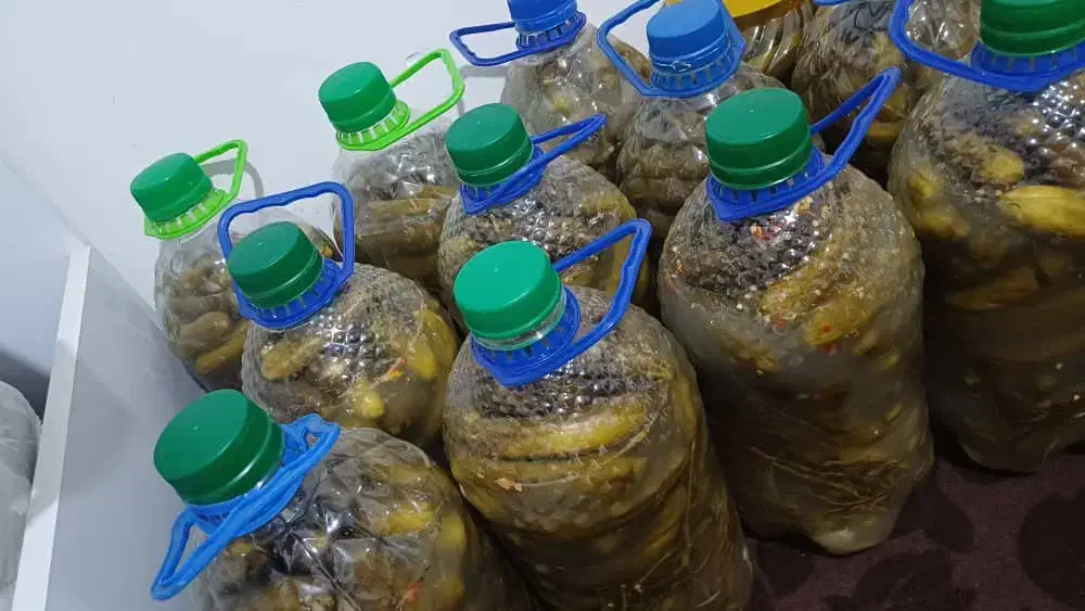 خیارشور محلی درجه  ۱ترد و خوشمزه بدون مواد افزودنی|خوردنی و آشامیدنی|شیراز, زند|دیوار