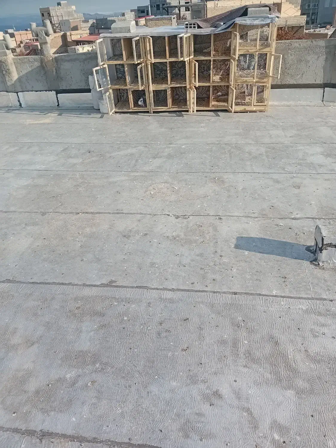 قفسه جفت گاه کبوتر|لوازم جانبی حیوانات|مشگین شهر, |دیوار