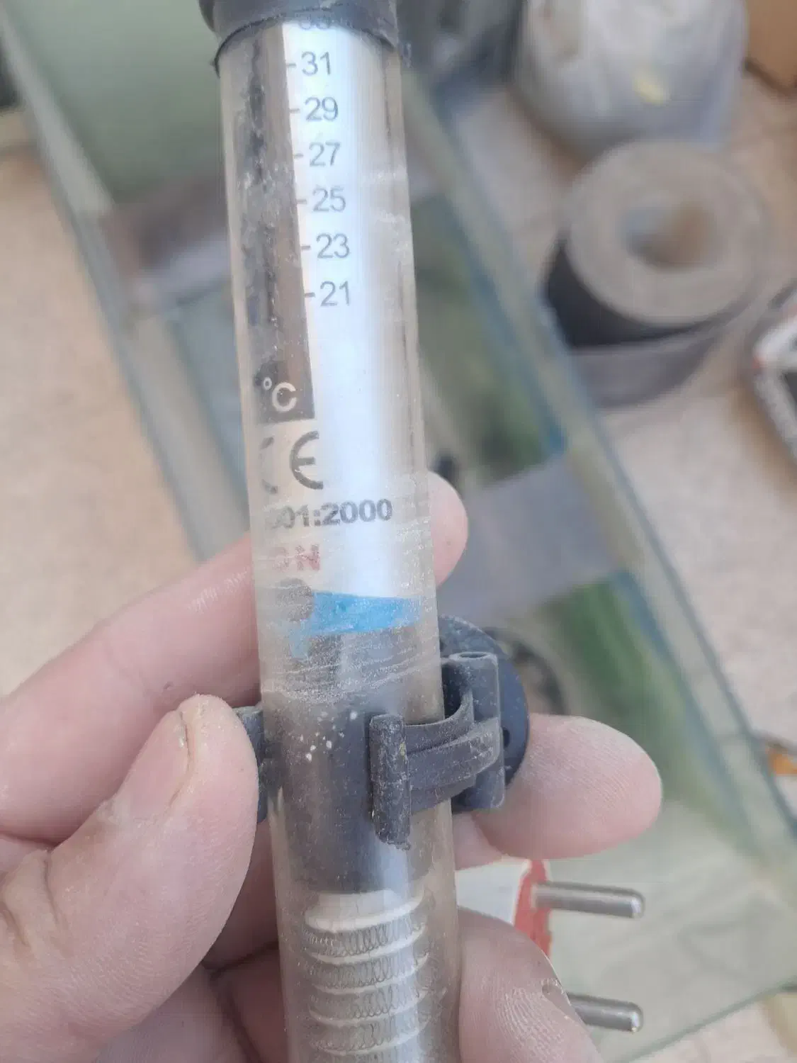 اکواریوم و سینما خانواده|ماهی|مشهد, شهرک بهارستان|دیوار