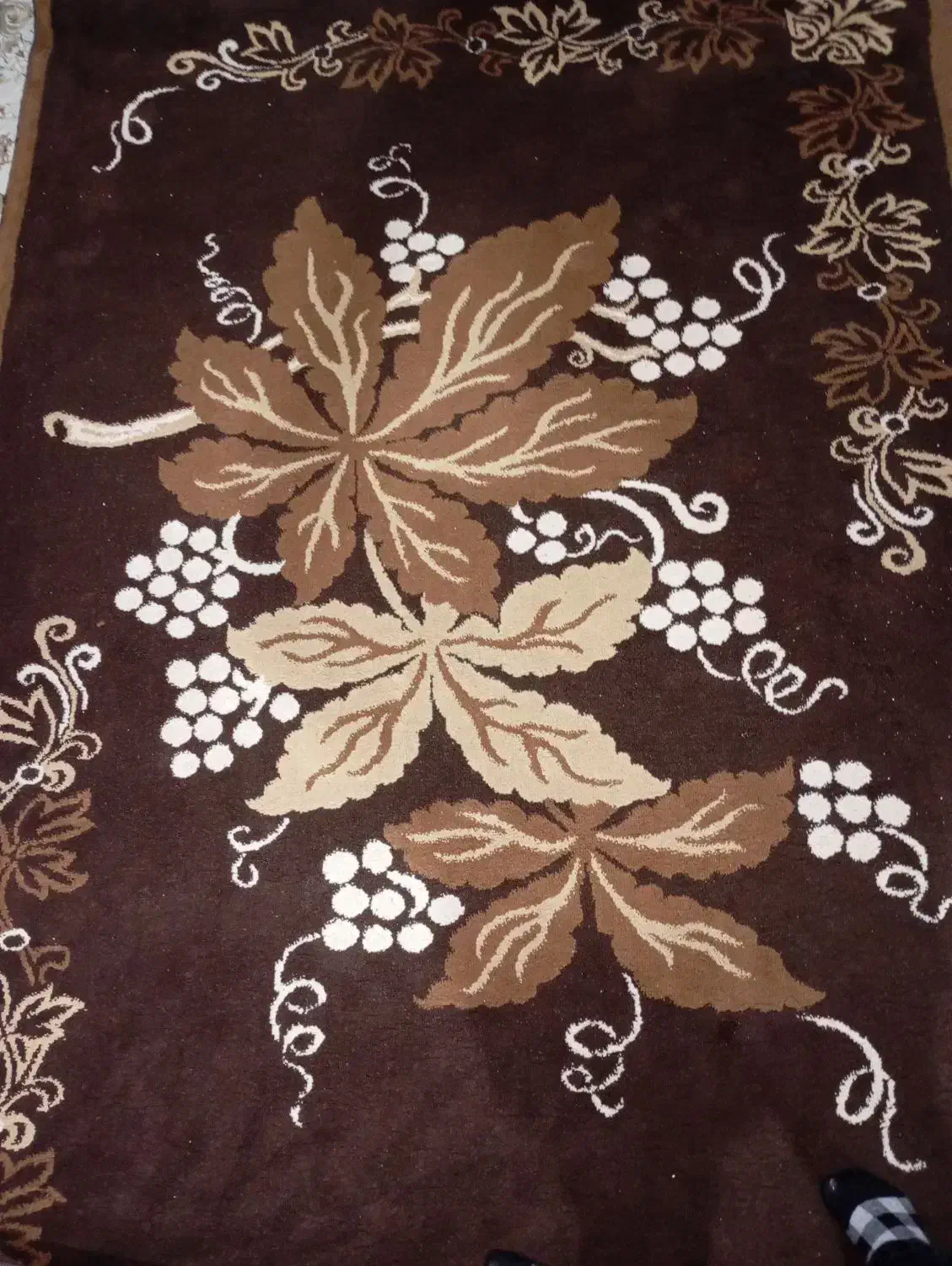 خانه و اشپزخانه|فرش|بندر انزلی, کلیور|دیوار