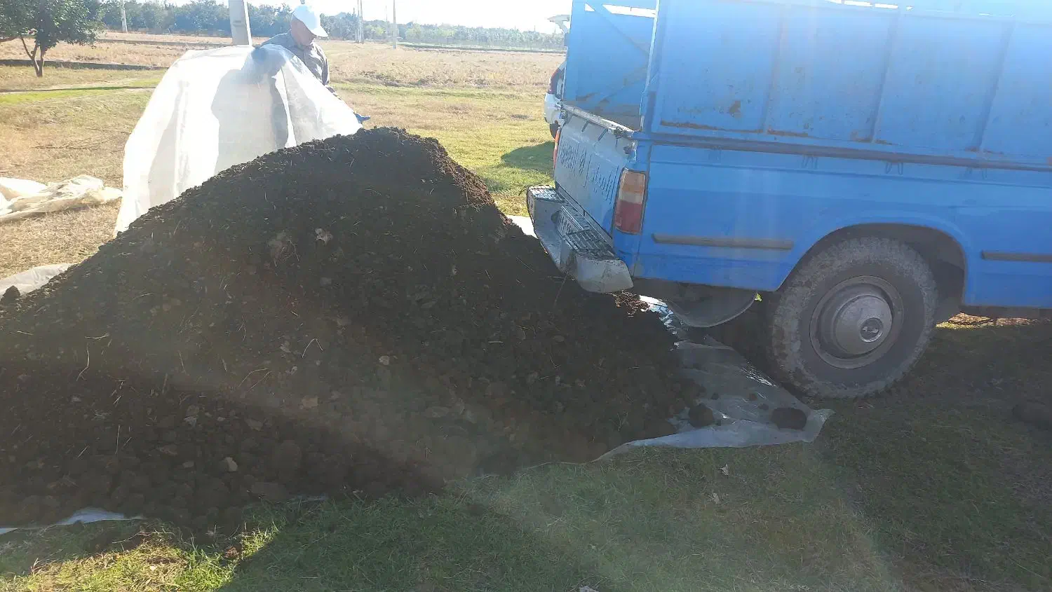 کود حیوانی گاوی گوسفندی|خدمات باغبانی و درختکاری|مرزیکلا, |دیوار