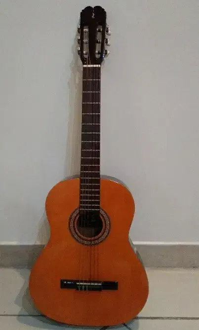 گیتار پویا سفارشی ساخت|گیتار، بیس، امپلیفایر|اصفهان, تخت فولاد|دیوار