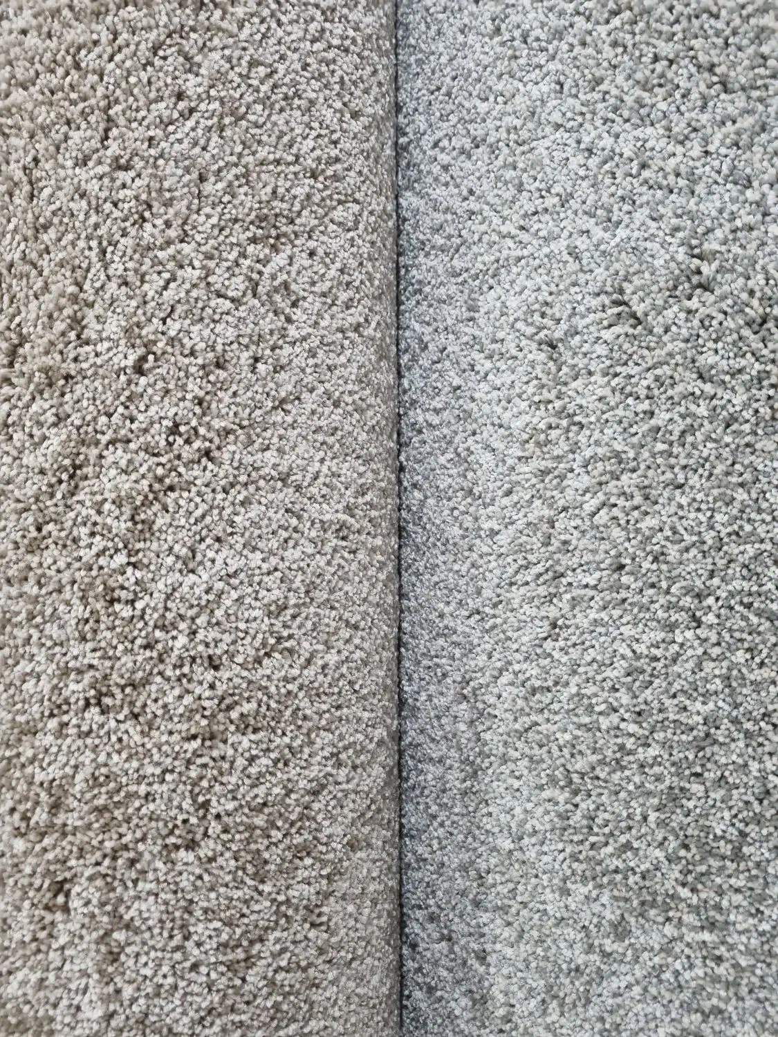 موکت پرزبلند در تنوع بالا|موکت|الوند, |دیوار