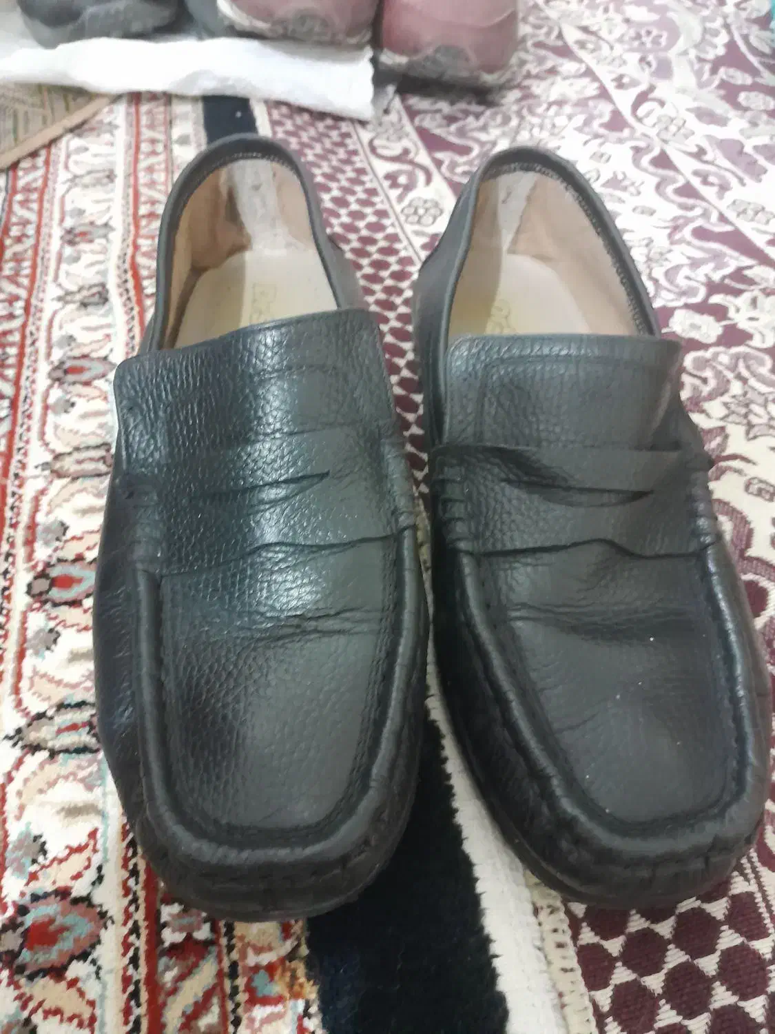 کفش اسپرت|کیف، کفش، کمربند|مشهد, امیر آباد|دیوار