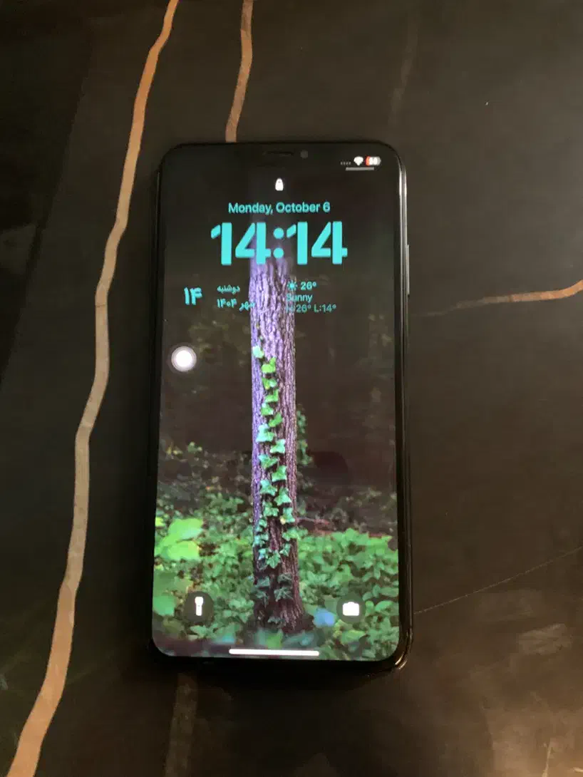 Iphone xs max|موبایل|تهران, اختیاریه|دیوار