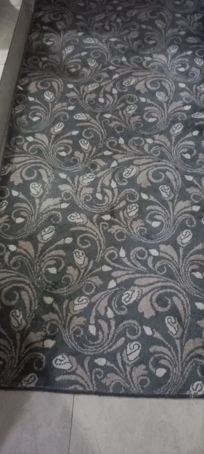 فرش راهرو دوتا|فرش|آبیک, |دیوار