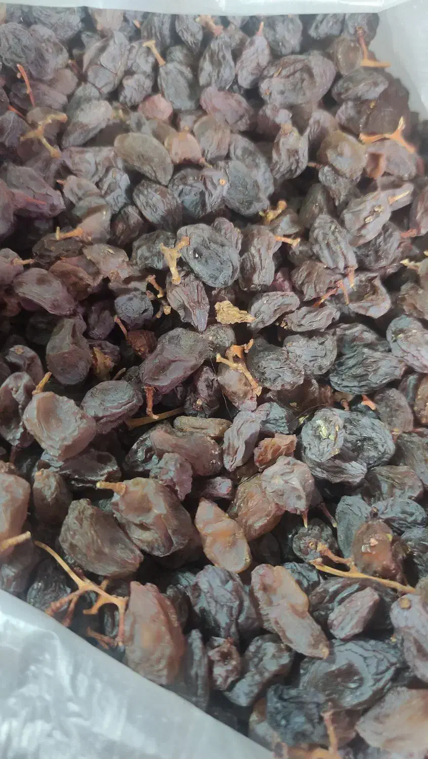 مویزاعلاگوشتی|خوردنی و آشامیدنی|اشتهارد, |دیوار