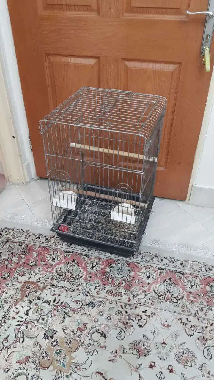 قفس|لوازم جانبی حیوانات|تهران, آبشار|دیوار