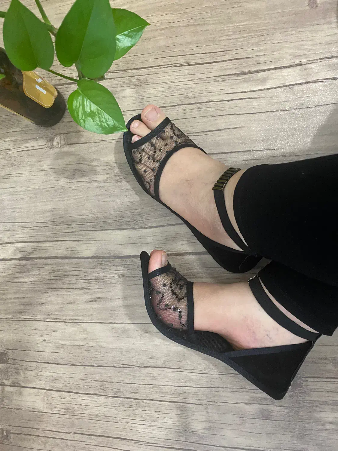 پاپوش مجلسی|لباس|شهرضا, |دیوار