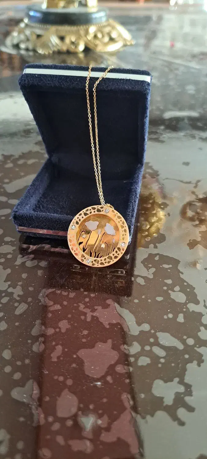 پلاک و گردنبند|جواهرات|ایوان, |دیوار