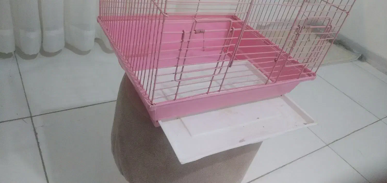 قفس برای طوطی|لوازم جانبی حیوانات|سنندج, |دیوار