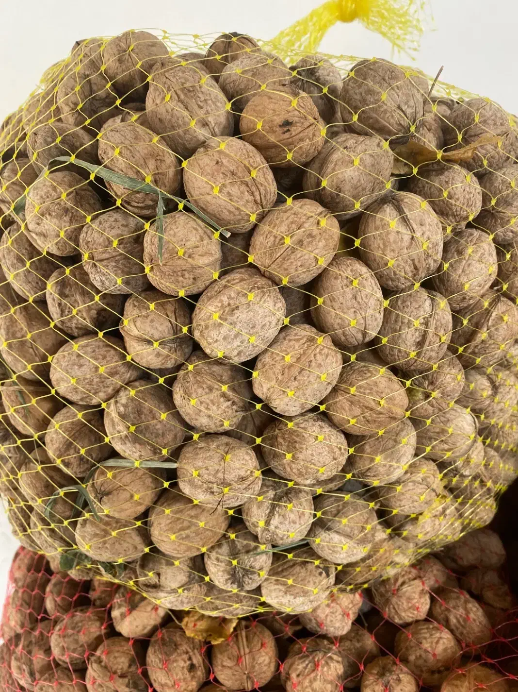 پوست کاغذی|خوردنی و آشامیدنی|زند, |دیوار