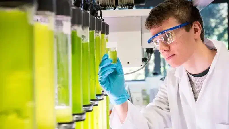 استخدام مهندس شیمی یا مکانیک|استخدام صنعتی، فنی، مهندسی|ماهدشت, |دیوار