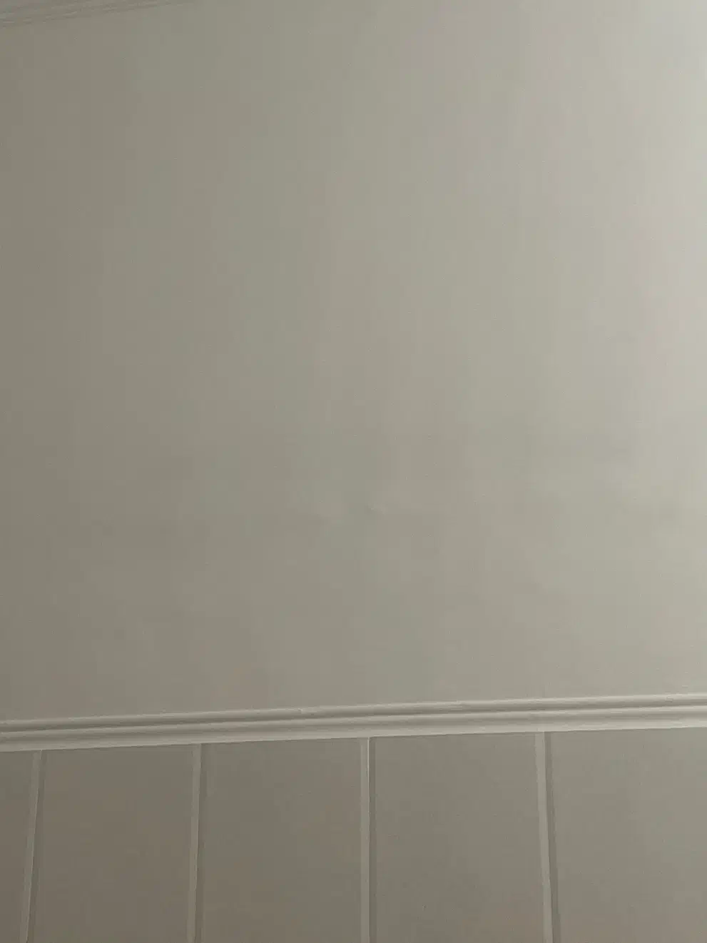 زمین تجاری متراژ ۴۵متر|فروش مغازه و غرفه|چغادک, |دیوار