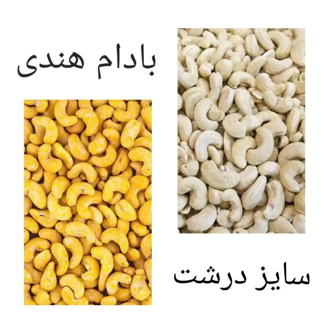 بادام هندی|خوردنی و آشامیدنی|قم, باغ شریفی|دیوار