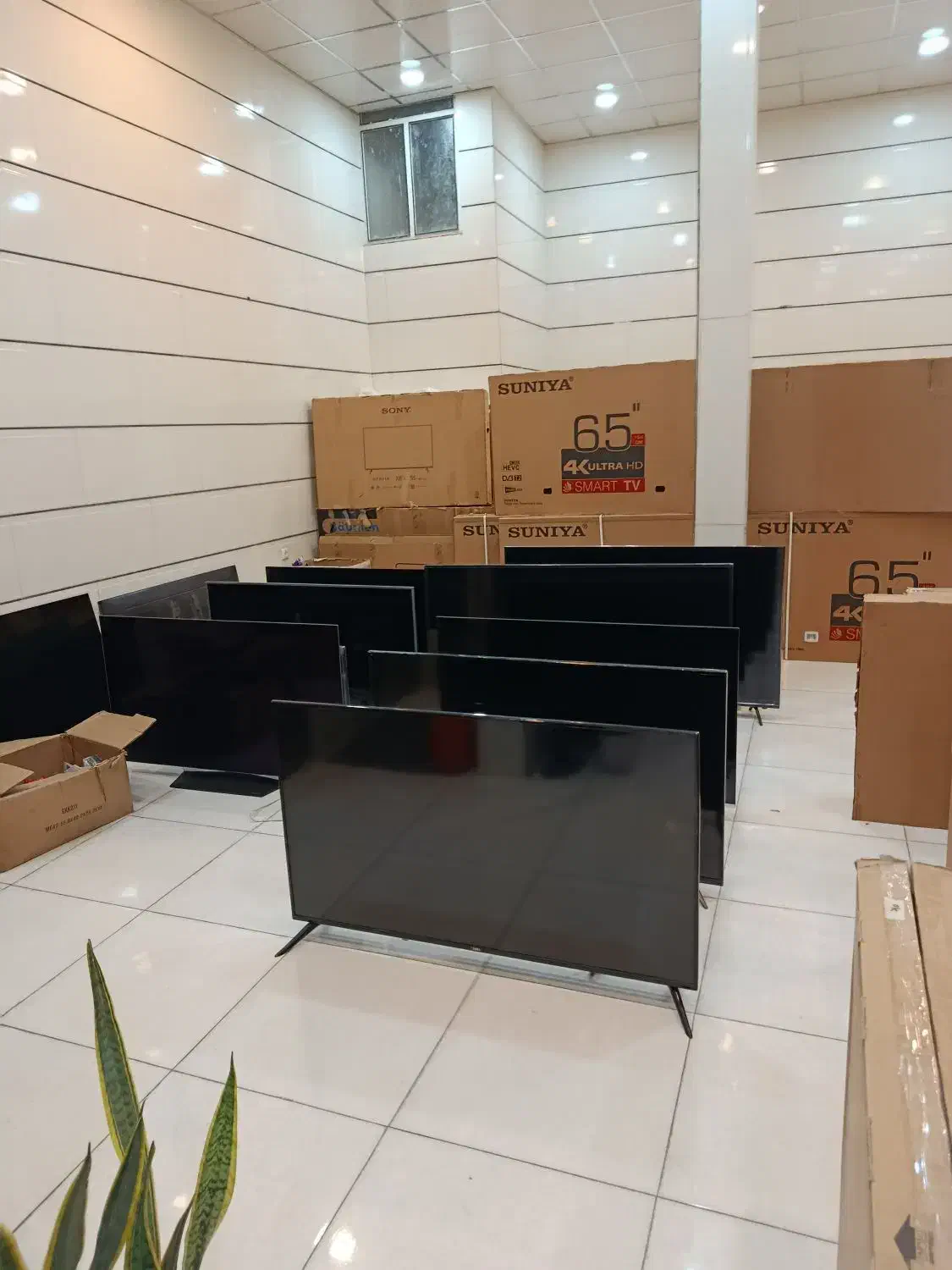 تلویزیون به قیمت کارخانه|تلویزیون و پروژکتور|قم, نیروگاه|دیوار