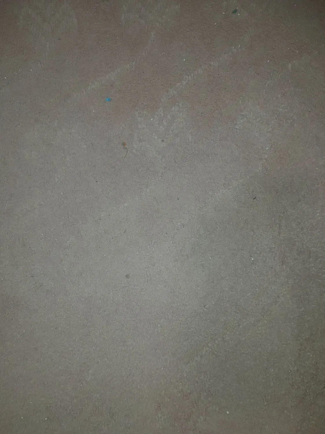 موکت|موکت|زنجان, |دیوار