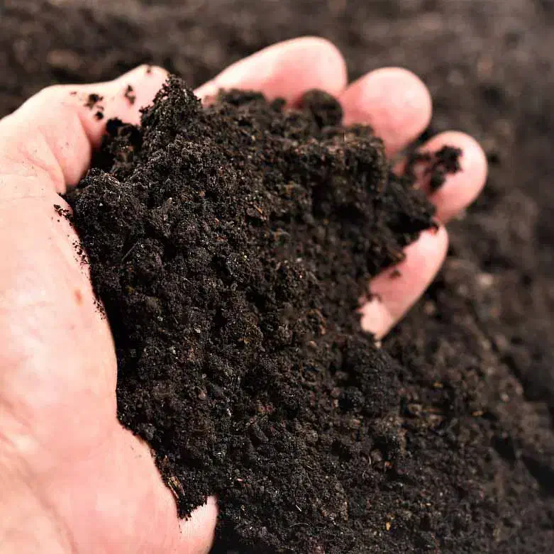 کود بلک پیت اصل مخصوص گل و گیاه آپارتمانی|خدمات باغبانی و درختکاری|داراب, |دیوار