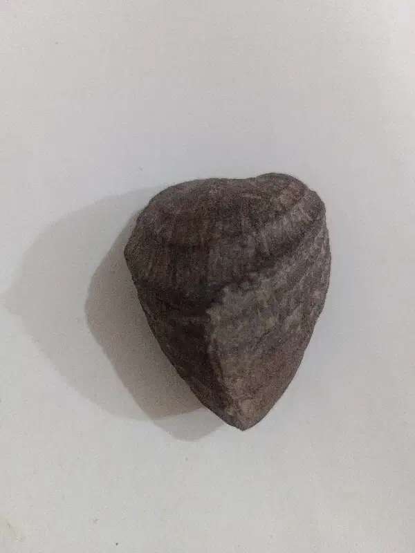 سنگ زیبا|کلکسیون اشیاء عتیقه|میاندوآب, |دیوار