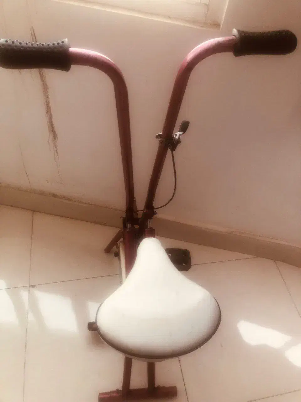 دوچرخه ثابت|تجهیزات ورزشی|مرند, |دیوار