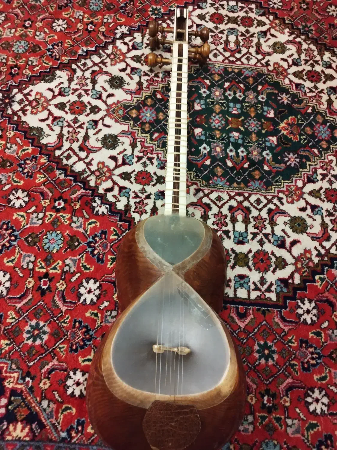 تار ایرانی استاد حسین نژاد (طایر)|سازهای سنتی|تبریز, |دیوار