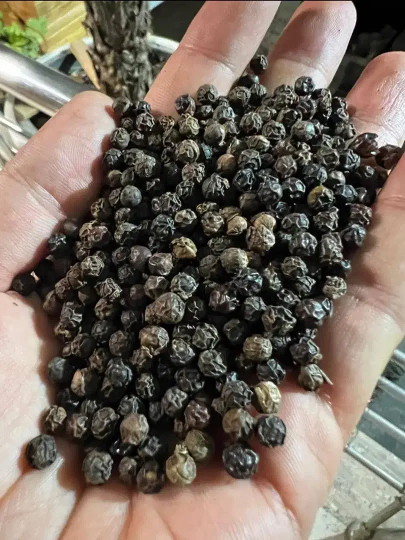 تولیدو پخش ادویه و چاشنی جات|عمدهفروشی|تربتحیدریه, کاشانی|دیوار