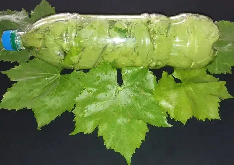 برگ مو|خوردنی و آشامیدنی|عجب شیر, |دیوار