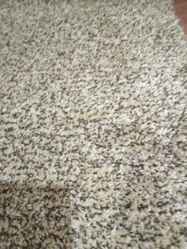 پالازموکت|موکت|کرج, ساماندهی|دیوار