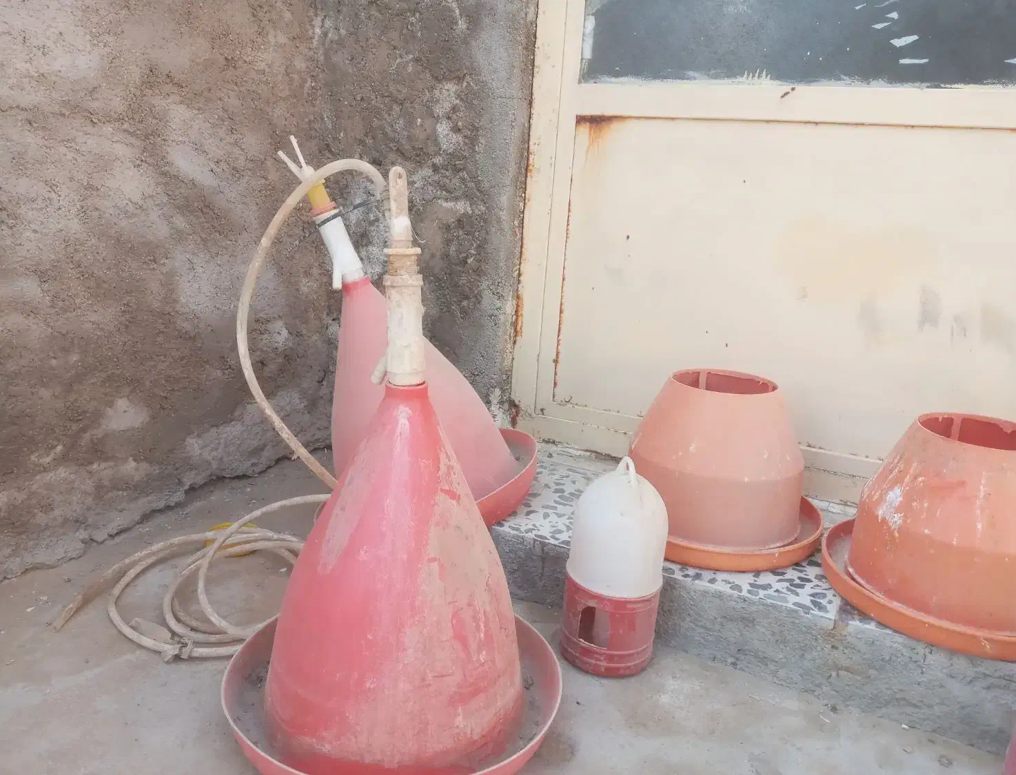 دون خوری ابخوری|لوازم جانبی حیوانات|بوشهر, |دیوار