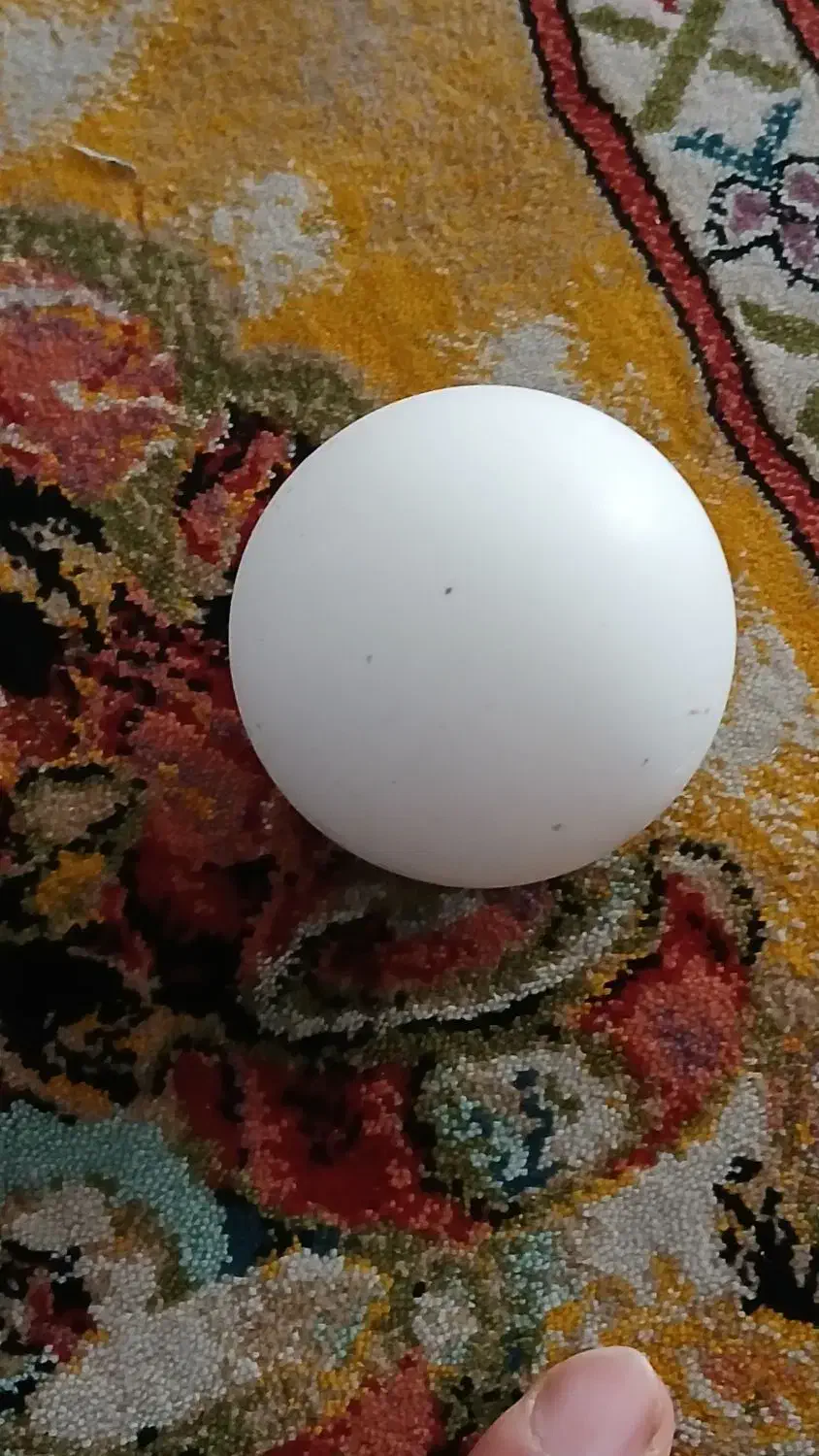 سنگ آسیاب|کلکسیون اشیاء عتیقه|خمین, |دیوار