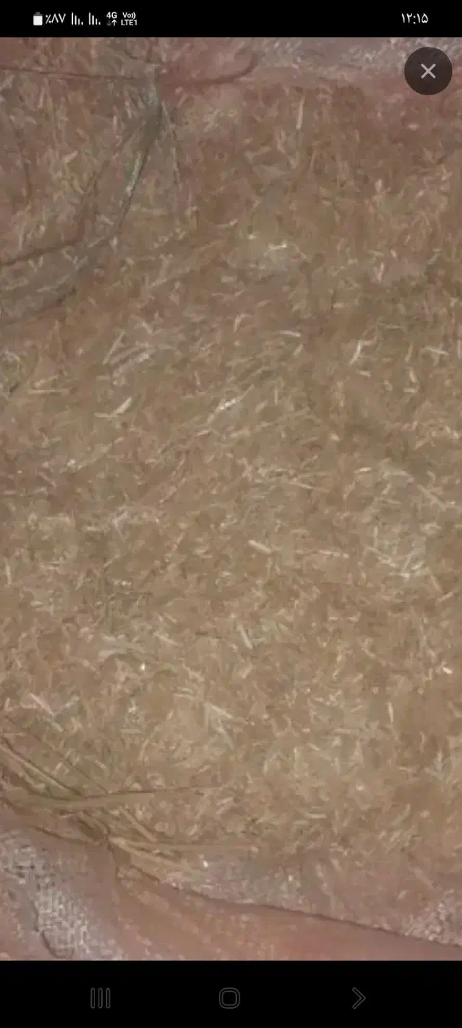 کاه کوبیده|لوازم جانبی حیوانات|سیمین شهر, |دیوار